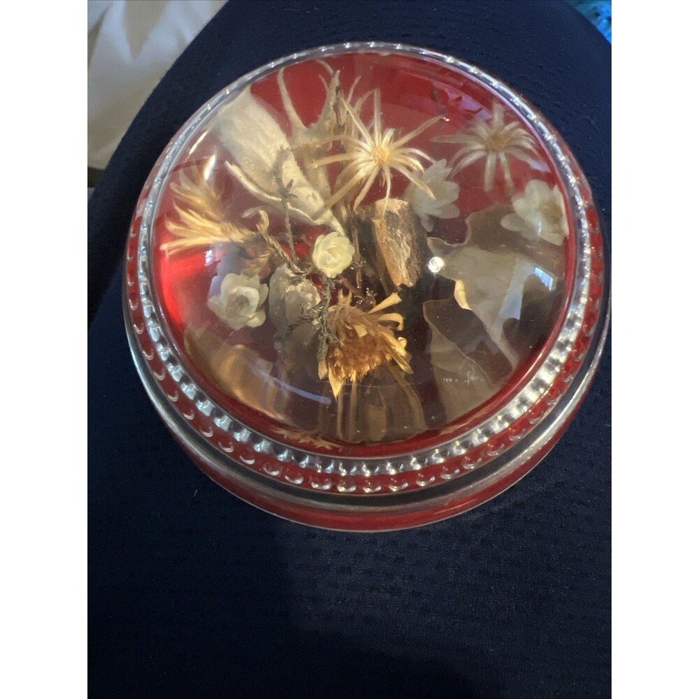 Paperweight Botanical Glass Round Dome Dried Flowers Floral Mid Century VTG